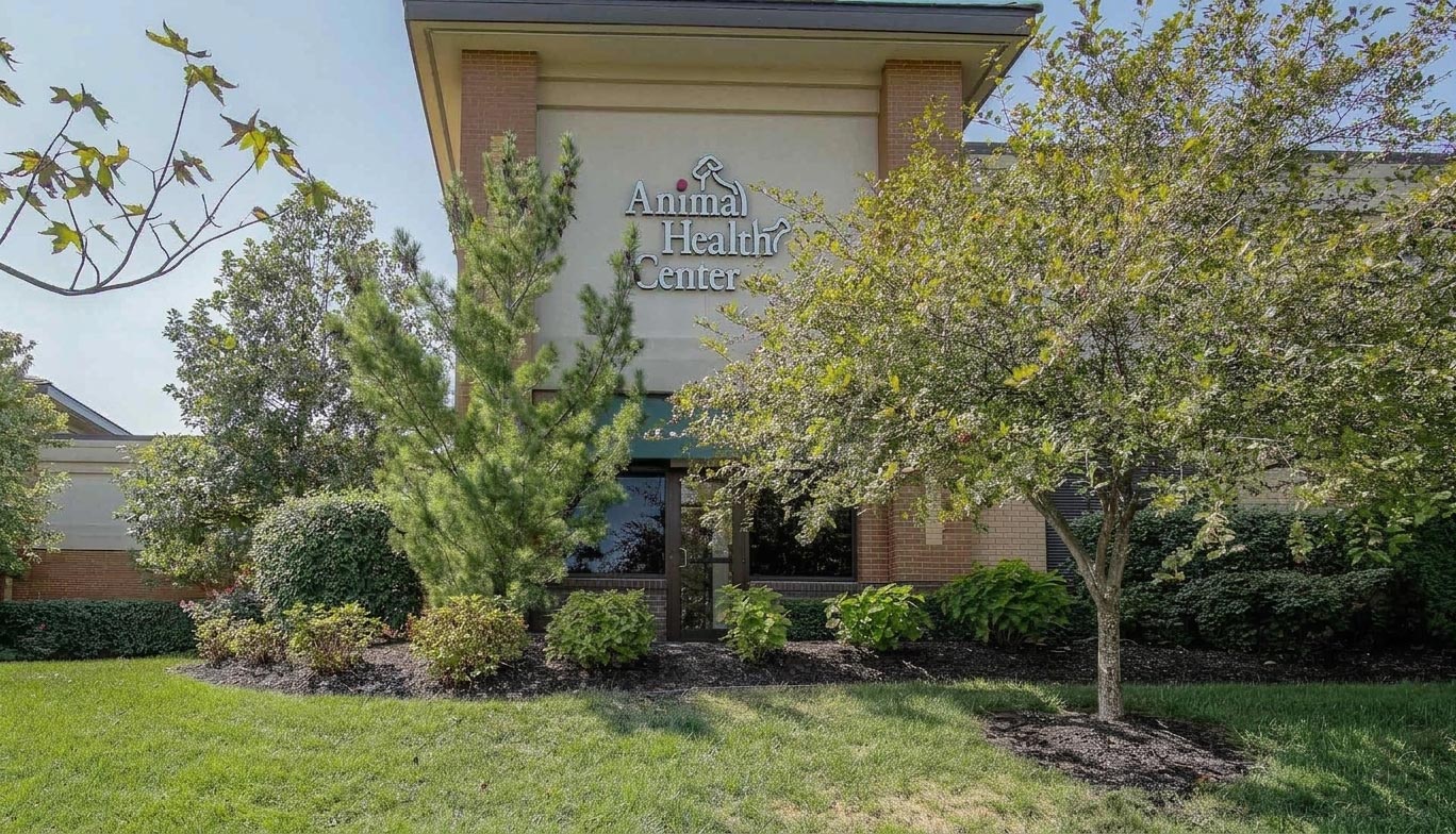 Animal-Health-Center-Leawood-Cover V2